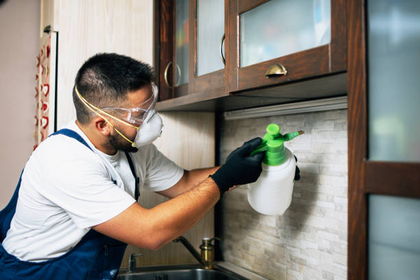 Best Cockroach Control Services  in Messiah College, PA