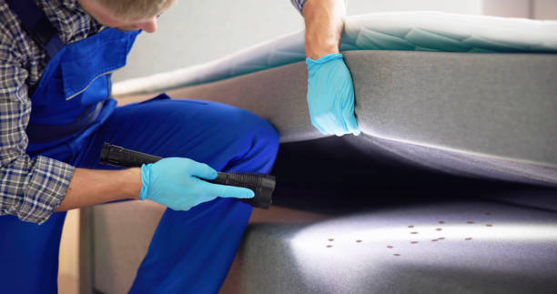 Best Best Pest Control Companies  in Messiah College, PA